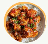 Ayam + Nasi